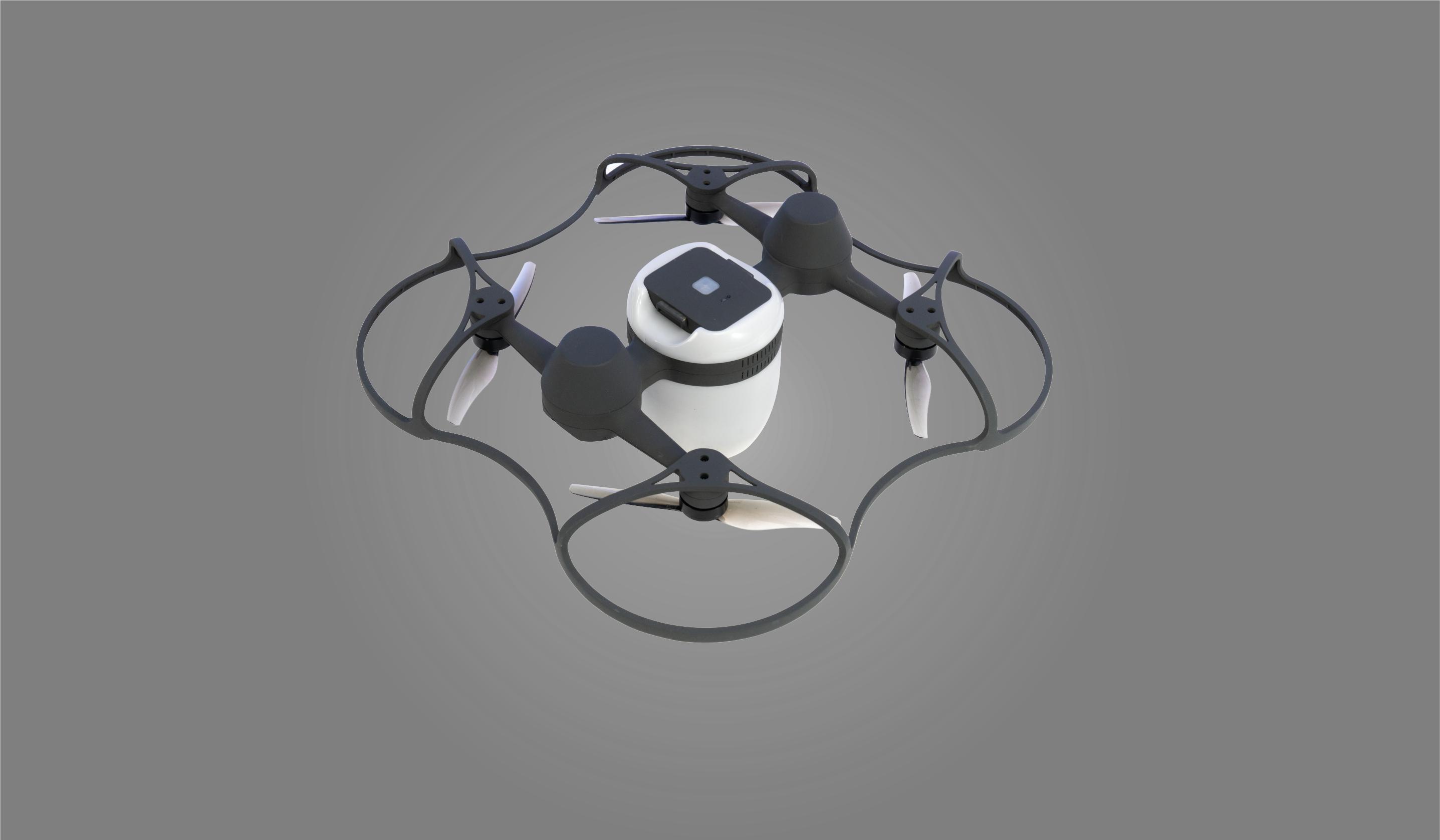 Agile BEE III